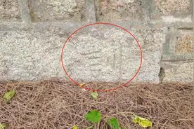 韩国文物又现中国汉字，具体是何用仍在研究中图片