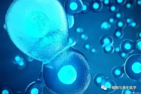 多项研究结果显示：干细胞疗法治疗II型糖尿病安全有效！图片