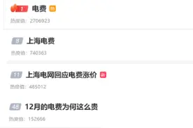 突然暴涨！有人11月电费90元，12月1200元！什么原因？图片