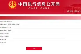 吴亦凡表哥两家关联公司被限消，强制执行1477万余元图片