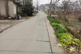 路通百业兴！海盐于城加快推进农村公路等级提升图片