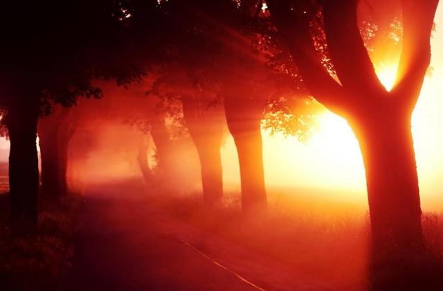 夜雨丨唐代贤：父爱母爱