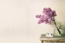 夜雨丨秦拓夫：那只美丽而忧伤的眼睛图片