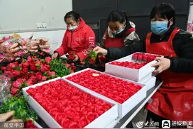山东聊城：工人们加工玫瑰香皂花 供应市场图片