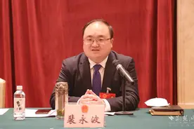黄冈两会｜麻城市委副书记、市长裴永波：打造对外开放的新门户、新沿海图片