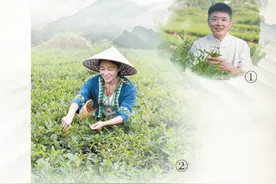 传承制茶技艺的年轻人图片