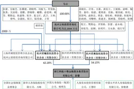 马云对蚂蚁金服公司治理的“大变阵”图片
