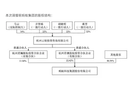 焦点分析｜蚂蚁长大，阿里身退图片