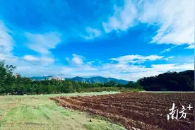 盐田区携手华大集团共建最美“田园式” 科普教育基地图片