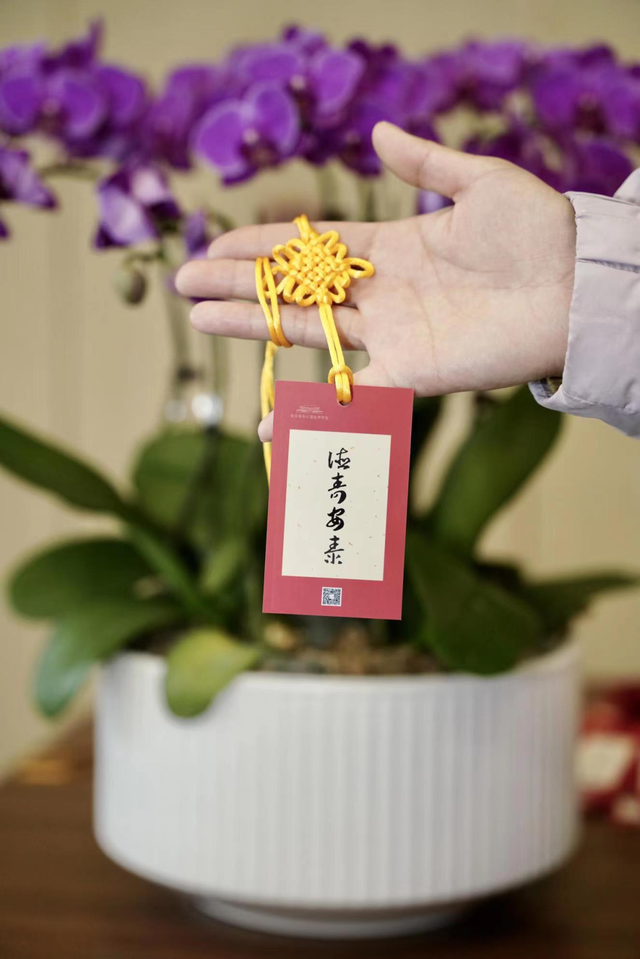 通过两大ip展"白日绮梦冬季艺术展""dora生人勿进主题展"春节美陈变装