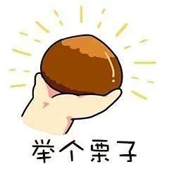 ѡ2022ȹĸ﹥ɹѡͶƱʼ