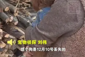 女子花6千元请宠物侦探寻狗：3天后寻回，抱着狗子痛哭图片