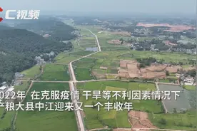开好局起好步丨从一个村看四川产粮第一大县的谋与动图片