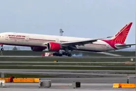 乱来！银行副总裁飞机上朝女乘客撒尿，印航形象被浇坏图片