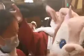 时评｜上海迪士尼玲娜贝儿被打头，“手欠”需要补什么图片