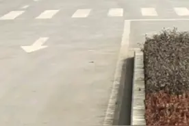 马路上原地360度漂移飙车炫技 交警：记3分罚200元，司机检讨道歉图片