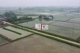 当阳“信义农民”16年还清98万元“良心债”图片