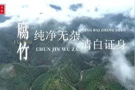 清廉江永丨腐竹：清白证身 纯净无杂图片