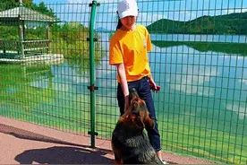 高一平||家书致妻子图片