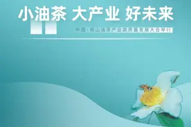 小油茶 大产业 好未来——中国·常山油茶产业高质量发展大会举行图片