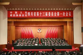 两会声音｜民进四川省委：建议将抑郁症纳入重疾险理赔范围图片