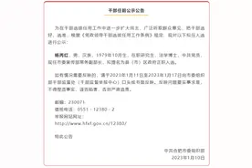 合肥干部任前公示公告 涉及县（市）区政府正职人选图片