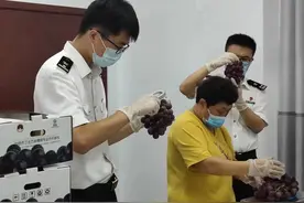 乡村特色产业图鉴｜小葡萄“串”起“甜蜜”事业——江苏句容丁庄村产业融合路越走越宽图片