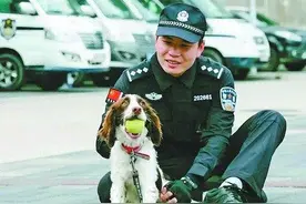 仅一天！厦门8只退役警犬都有了新家图片