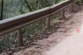 捡来的狗狗半路突然跳车，几秒后前方塌方图片