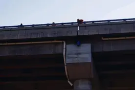 小猫被困桥墩缝隙   消防员多番尝试后将其救出图片