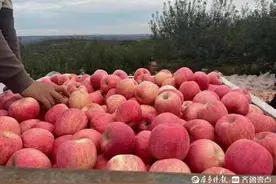 农忙-心底的念图片