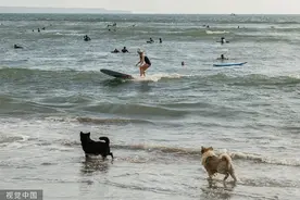 航班、签证“卡”住中国游客回归？东南亚多地预计：4月起恢复正常图片