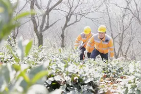 团圆新春路|大别山深处的合武高铁大通道“守护记”图片