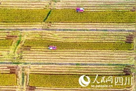 眉山东坡区：保障“天府粮仓”核心区建设规划落实落地 强力推进各类项目建设图片