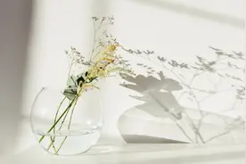 夜雨丨徐光惠：老张头的小心愿图片