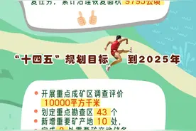 长图|我们湖南，家里是真有矿！图片