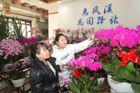 “花花世界”亮相惠风溪  生态城年味儿锦上添“花”图片