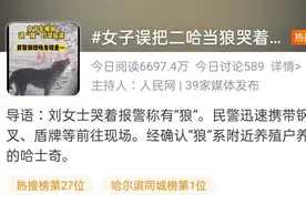 女子误把二哈当狼哭着报警，网友：这是哈士奇最拉风的一次图片