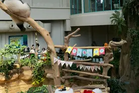 马来西亚国家动物园为大熊猫“谊谊”庆祝5岁生日图片