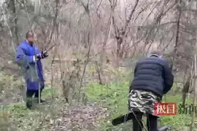 现实版“光头强”出没，高速巡检部门迅速消除隐患图片