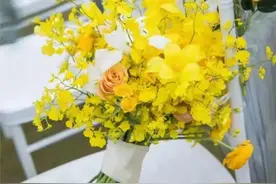 花暖新春！宝山这些花市您来逛了吗？图片