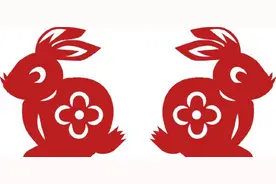 盐姐姐的两会观察日记|党建引领共富路图片