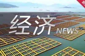 节假日也能审批放款 这家银行及时帮助企业缓解流动资金压力图片