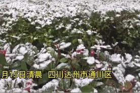 30秒 | 城市一夜“白了头”  达州主城区下起罕见大雪图片