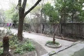 杂乱空地变成亚运公园，杭州这个社区是怎么做到的？图片