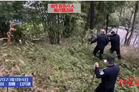 “疯牛”发狂连撞多人，击毙！图片