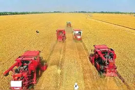 到2025年河南粮食生产要达到1400亿斤…… 扛农业大省责任，他们有话说图片