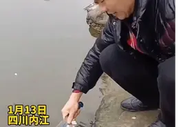 大哥水边刮鱼鳞，没想到发生戏剧性一幕图片