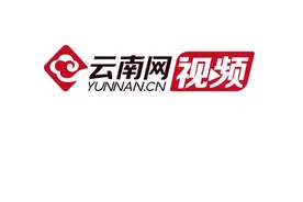 【视频】亚洲最大长尾鹦鹉！世界近危物种亚历山大鹦鹉现身云南龙陵图片