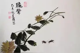 十日谈｜我的蟋蟀宝贝“青鼎”图片